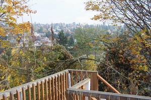 View from the back balcony